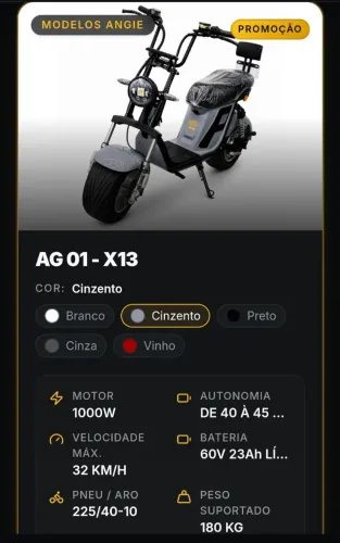 Motoeletrica AG 01 - X13