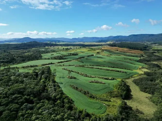 Fazenda com 101 hectares - Santa Catarina
