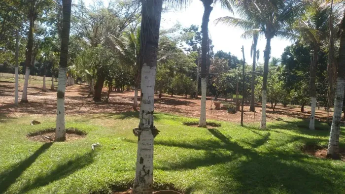 Fazenda com 12,5  alqueires, a 8 KM de Cristinópolis