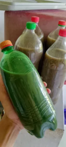 Fertilizante orgânico jlf ?