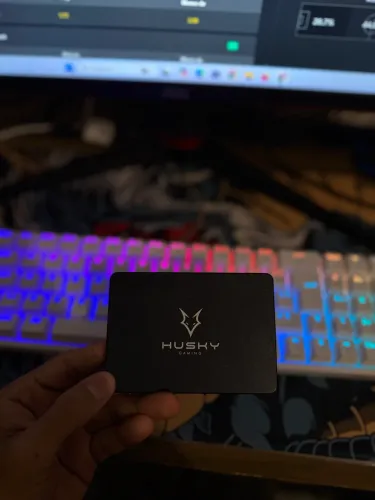 SSD HUSKY 256GB