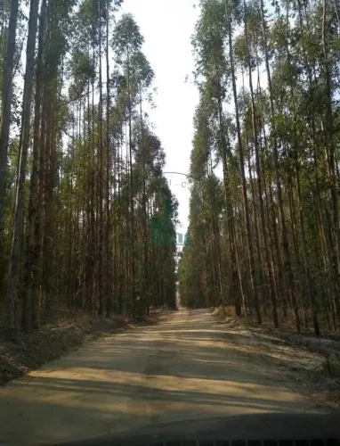 Terreno em condomínio no Pau DAlho 997,50m²