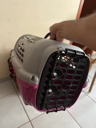 Casinha de Pet