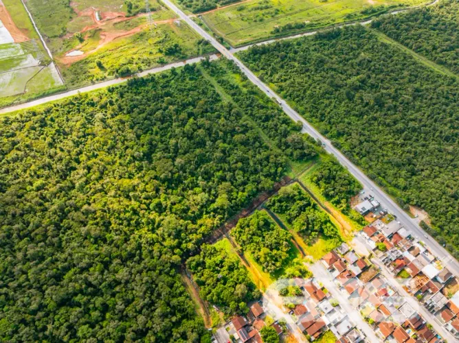Terreno | Joinville | Nova Brasília