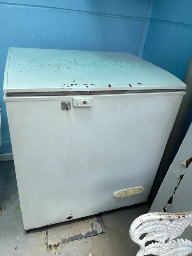 Freezer Usado 201 Litros