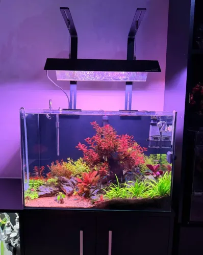 Luminária p/ Aquario. Chihiros WRGB II Pro 45cm 56W + Kit Completo