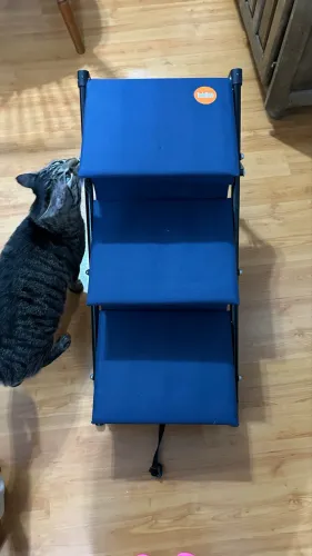Escadinha pra cachorro que vira rampa