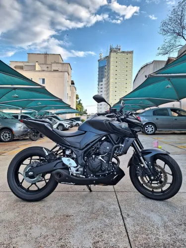 Mt 03 2025