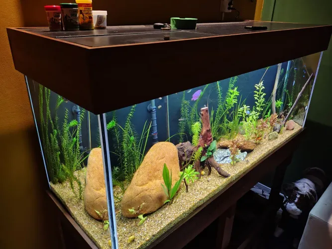 Aquário Completo 450 Litros 