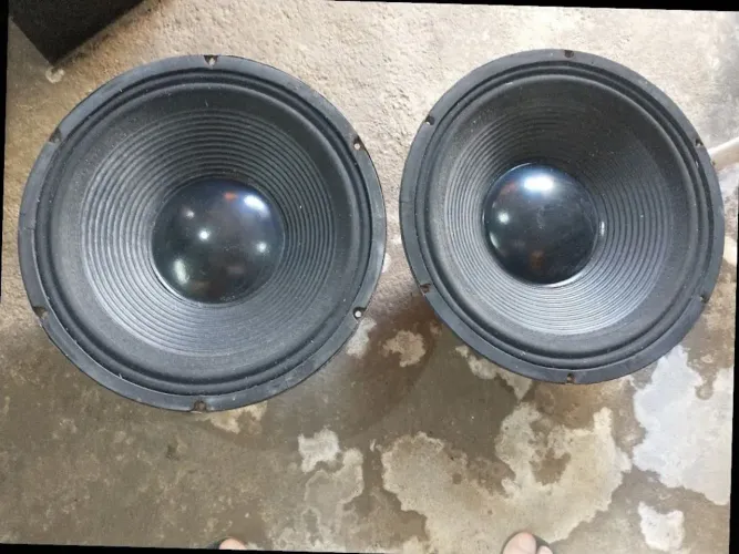 vendo ou troco 2 auto falantes de 15 profissional 