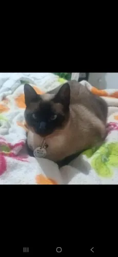 Doação 