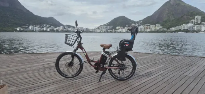 Bicicleta Bike Elétrica E-Bike L - Lev com cadeirinha