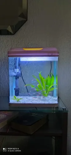 Aquário SOBO 25L