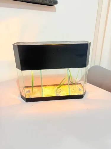 Aquário com aquecedor e Iluminação 