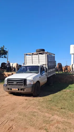 F350 com gaiola boiadeira