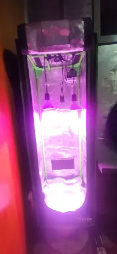 BARBADA Estufa grow Master Tents 