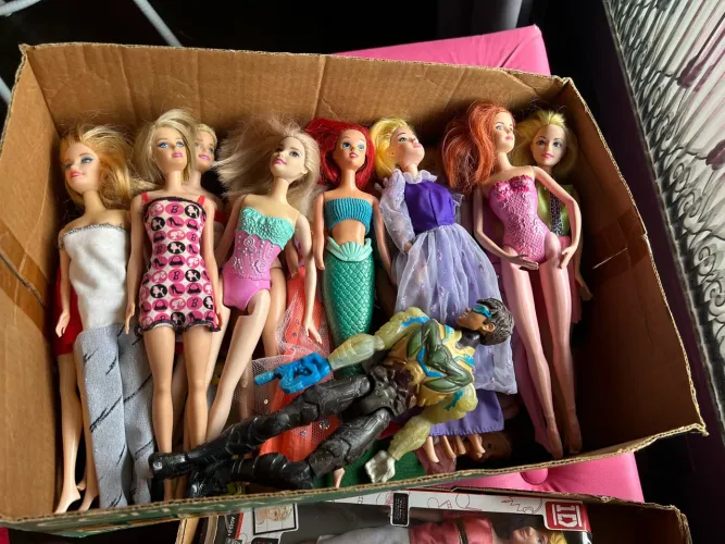 Lote Barbie