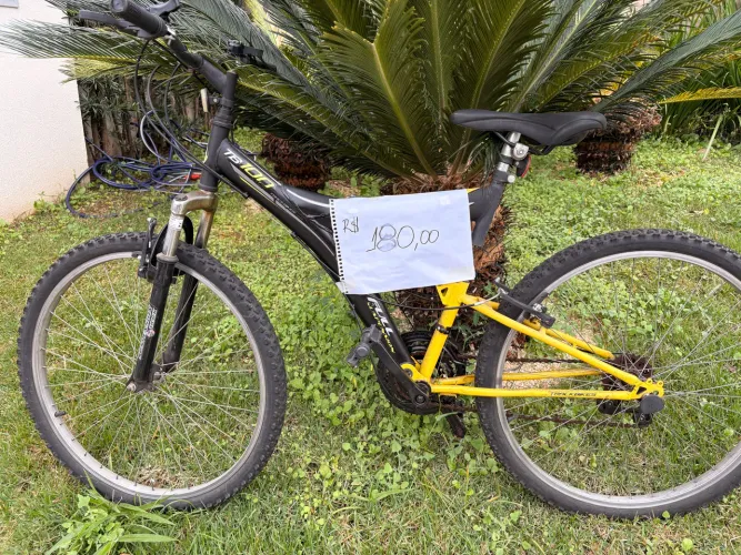 3 bicicletas por 700 reais