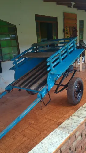 Vendo charrete semi-nova e um lindo cavalo 