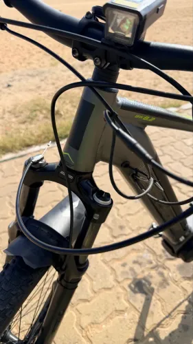 Oggi Big Wheel 8.2 2024
