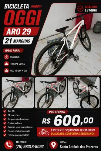 Bicicleta