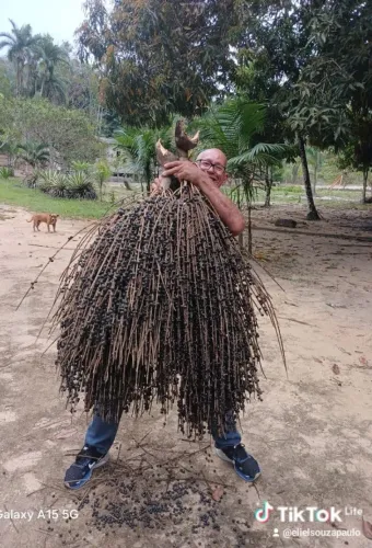 Caseiro