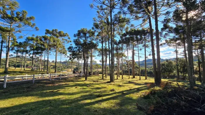 Belíssiomo terreno à venda em Lages