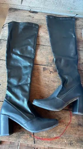 Bota