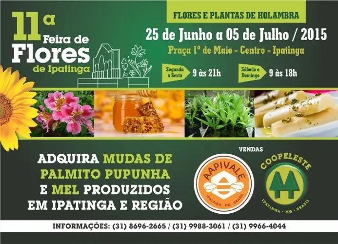 Palmito Organico e Sustentavel