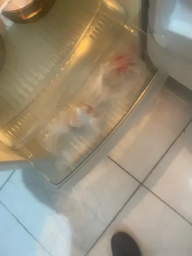 Geladeira