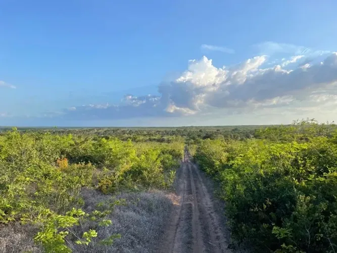 Fazenda em Santarém do Maranhão