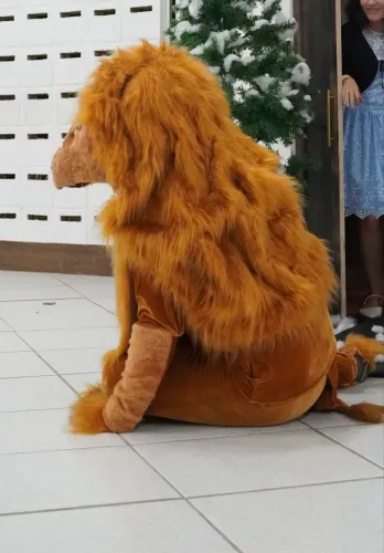 Vendo Fantasias, Dino e Aslan
