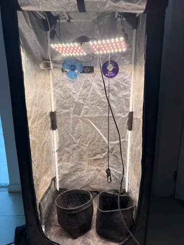 Kit completo para cultivo indoor - ProBox 60×60×140