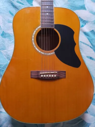 Bag acolchoado pra violão folk e clássico