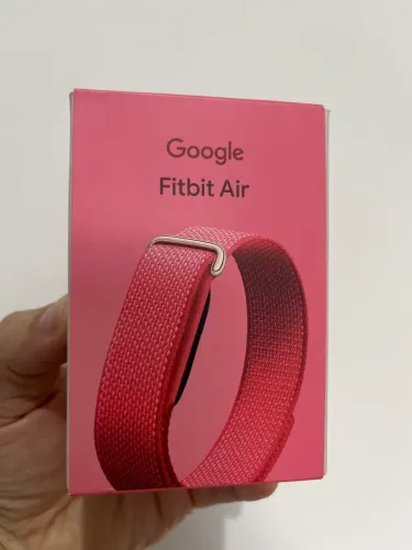 Google Fitbit Air