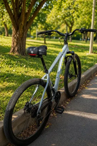 MTB Aro 29