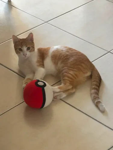 Doação