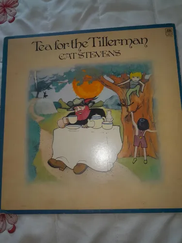Disco de vinil LP Cat Stevens Tea for the Tillerman 1970 *Importado / Folk Rock