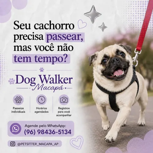 PASSEIOS MACAPÁ