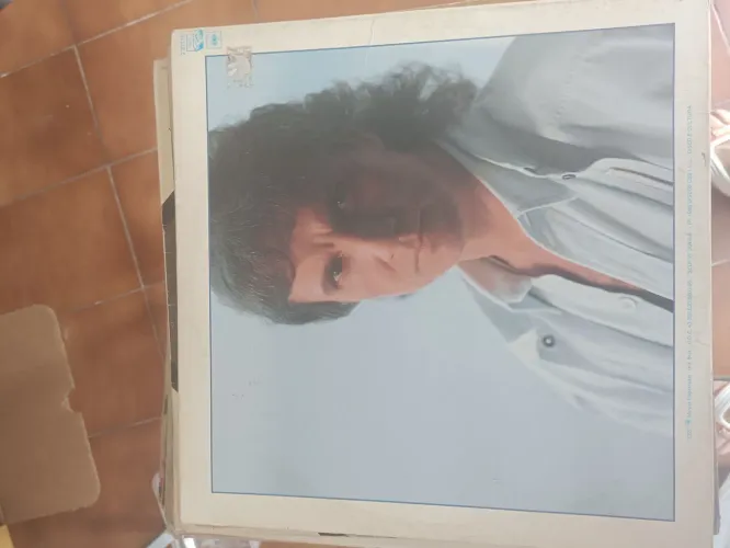 Disco de vinil