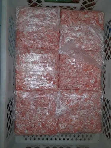 Camarão pré-cozido