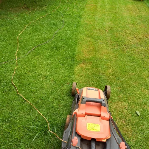 Serviço jardinagem poda de árvores 