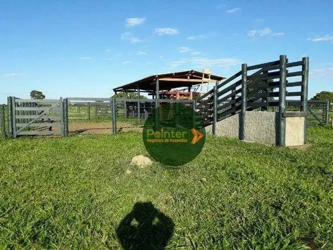 Fazenda à venda, 1524600 m² por R$ 5.000.000,00 - Zona Rural - Uruaçu/GO
