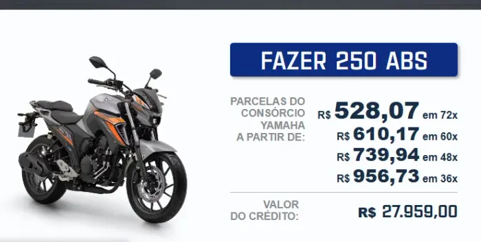 CONSORCIO YAMAHA FZ 25 /250 CC 