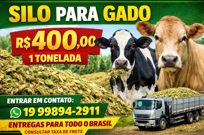 SILO PARA GADO