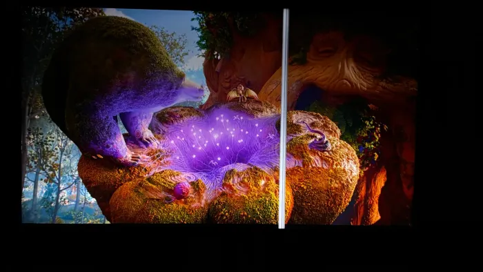 Smart Tv LG 49 (Com linha na tela)