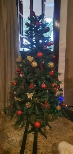Árvore de Natal ( decorada )