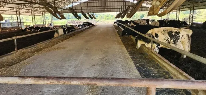 Fazenda 196 Hectares de Dupla Aptidão Produtiva no Sul de Minas Gerais