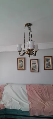 Ilustre rústico 