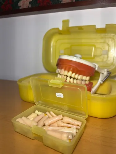 Manequim para estudantes de odontologia